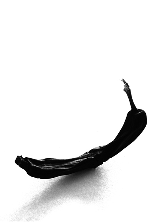Stephan Kamp: »Bananenaufklebersammelalbum«